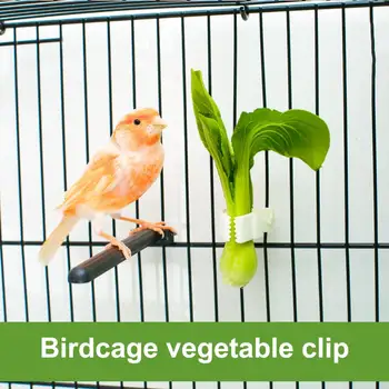 12Pcs יצירתי ציפור מזינים פירות ירקות קליפים לשימוש חוזר האכלה קליפים כלוב ציפורים מזין מלחציים כלוב ציפורים אביזרים